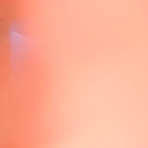 Meet your Posher, Lidia